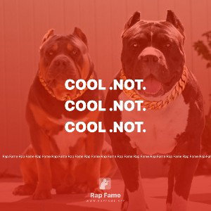 cool .not.