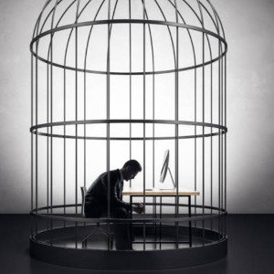 help / let me freeBird