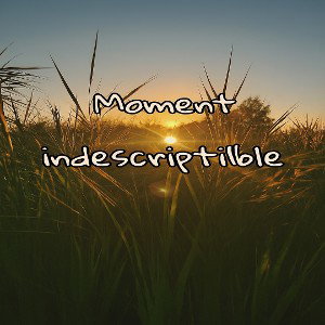 Momentindescriptible