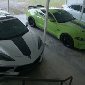 street tailz