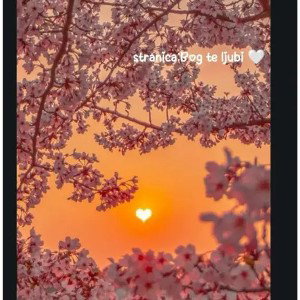 🌄💌