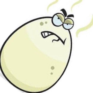 Rotten Eggs