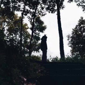 lost story by Beast 