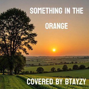 Something In The Orange (Cover)