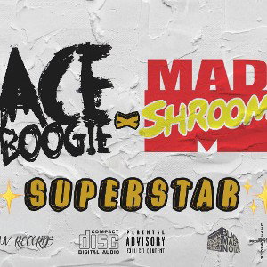 superstar - feat. MADSHROOM MC