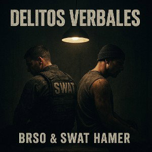 DELITOS VERBALES 