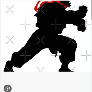 Hit Em With HaduKen!