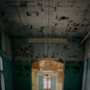 Asylum
