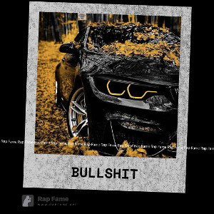 bullshit 
