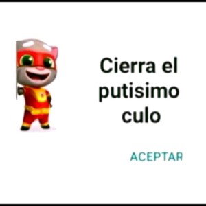 el puño