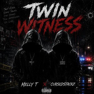TWIN WITNESS 