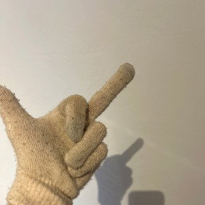 Arrogant und Abgehoben (Diss)
