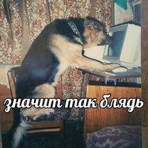 про ментов ёпта