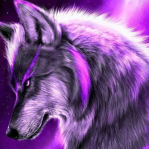 la chanson des loup