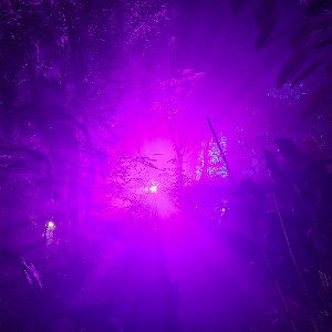 This World Is a Weird Mess / Chronisch Komisch Vol.II [Beat Of The Day/ One Take]