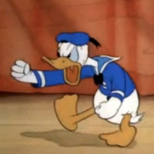 angry duck 🦆