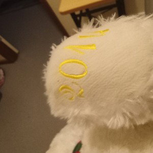teddy bear