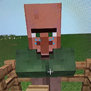 a villager being slived