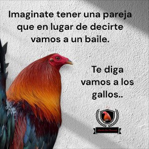 asta el cielo 