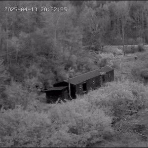 staying in the woods 