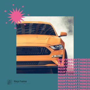 many many things 