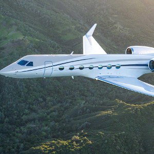 CHARTER (Plago)