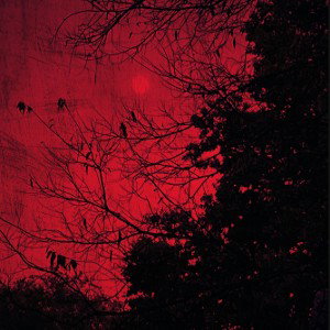 Raised on Decay Ft. Ivoryline888 prod. Memento