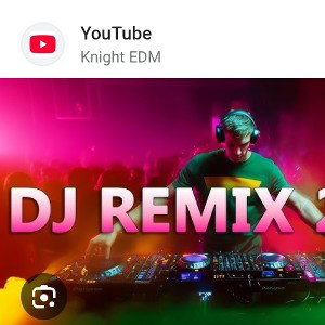REMIX - ( Альбом The Show Music)