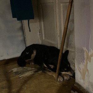 Задание номер один