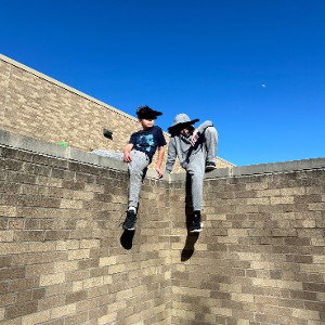 tomfoolery and hoodlums
