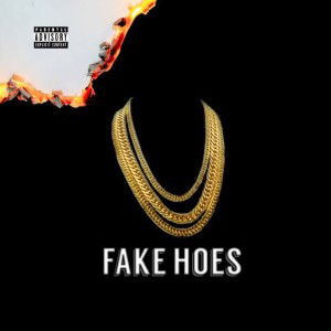 FAKE HOES