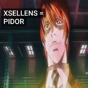 DISS NA @XSELLENSS