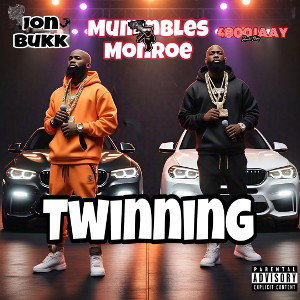 Twinning 3