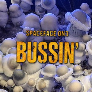 BUSSIN'