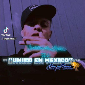 "UNICO EN MEXICO"