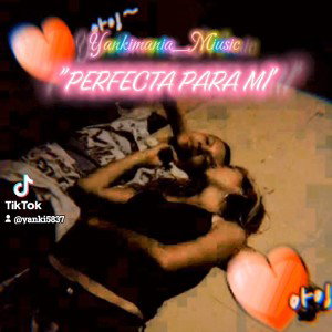 "PERFECTA PARA MI" //Yankimania_Miusic//JZC