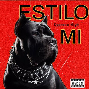 Mi estilo