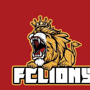 wake FC lions