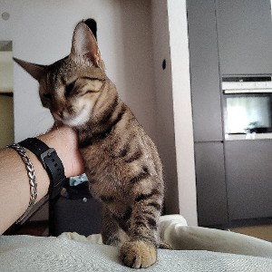 no name