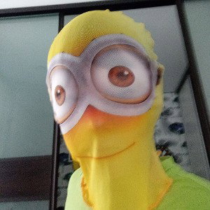 а мне п**** Я миньон