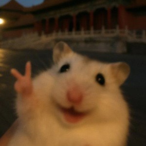 H-Happy