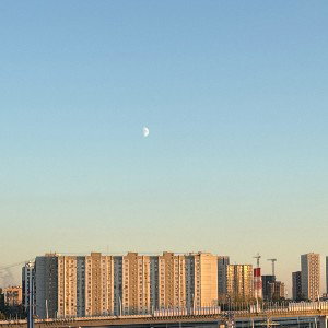 пополам свет-тьма