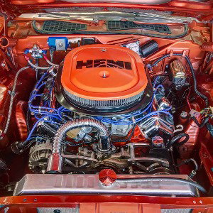 v 8