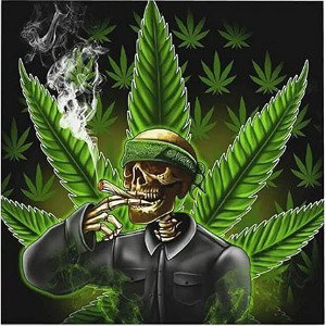 GETTING HIGHER THAN A MUTUAFUC🔥A!
