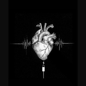 گل قرمز