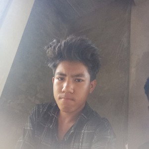 amar bijoy