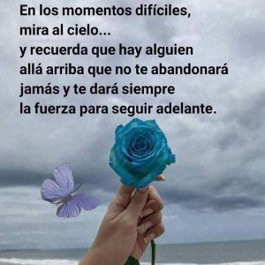 Gracias 
