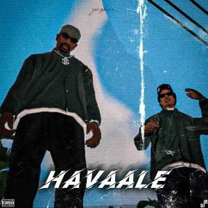 Havaale