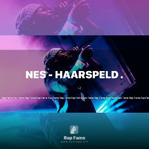 nes - haarspeld . 