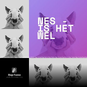 nes - is het wel